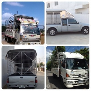 รถรับจ้าง4-6ล้อขนย้ายหอพัก-ย้ายบ้านเช่า-ลาดพร้าว-โชคชัย4-วังหิน - เกษตรนวมินทร์        รามอินทราก.ม4- ลาดปลาเค้า-ถนนนวลจันทร์ ID LINE  pitark_tark 0824894182  รายละเอียดเพิ่มเติมที่  http://rodrubjang2011.blogspot.com/                                 http