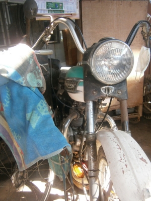 TRIUMPH T100 TRIUMPH T100