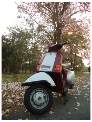Vespa Cosa ทะเบียนแท้พร้อมโอน ไม่ขาดต่อ2558 (ชื่อผมเอง)