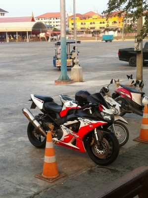 ขายถูกๆๆๆ cbr929 ปี 2001 limited spec EU อินวอย 119000!!! ขายถูกๆๆๆ cbr929 ปี 2001 limited spec EU อินวอย 119000!!!