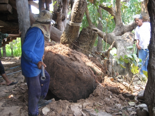 ISUZU   ROCKY    175  แรง   ติดเครน 855,000 บาท