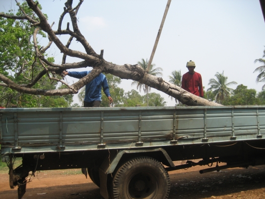 ISUZU   ROCKY    175  แรง   ติดเครน 855,000 บาท