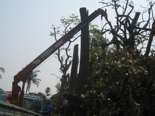 ISUZU   ROCKY    175  แรง   ติดเครน 855,000 บาท