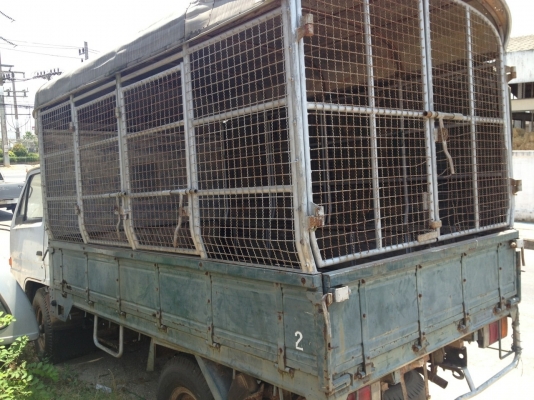 NKR 88 แรง 4ล้อ บรรทุก รถห้างแท้สีเดิม เดิมทั้งคัน รถยอดนิยม ปี2537 NKR 88 แรง 4ล้อ บรรทุก รถห้างแท้สีเดิม เดิมทั้งคัน รถยอดนิยม ปี2537