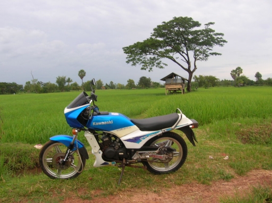 ขาย คาวาซากิ AR125