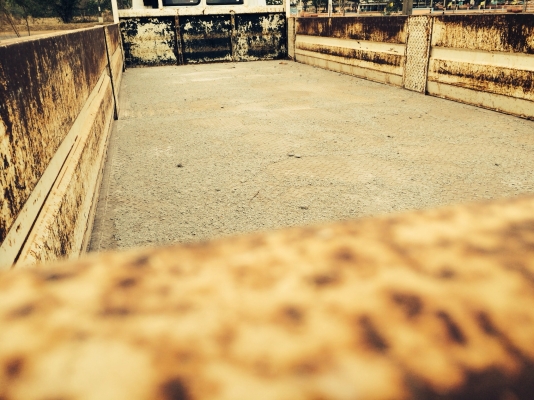 Hino 6 ล้อช่วงยาว 7.50 เมตร ราคาน่าฟัง Hino 6 ล้อช่วงยาว 7.50 เมตร ราคาน่าฟัง