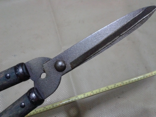 กรรไกรดายหญ้า แต่งพุ่มไม้