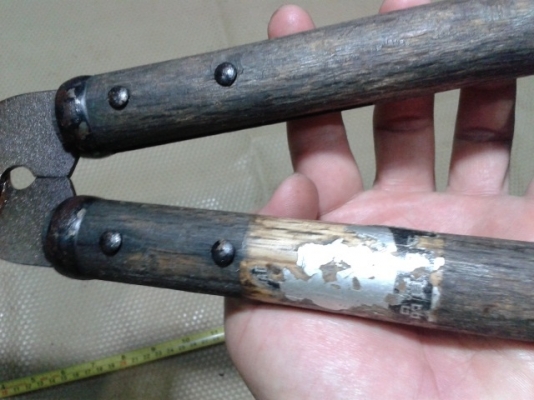 กรรไกรดายหญ้า แต่งพุ่มไม้