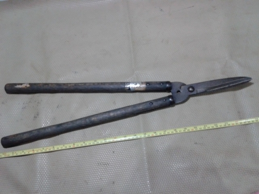 กรรไกรดายหญ้า แต่งพุ่มไม้