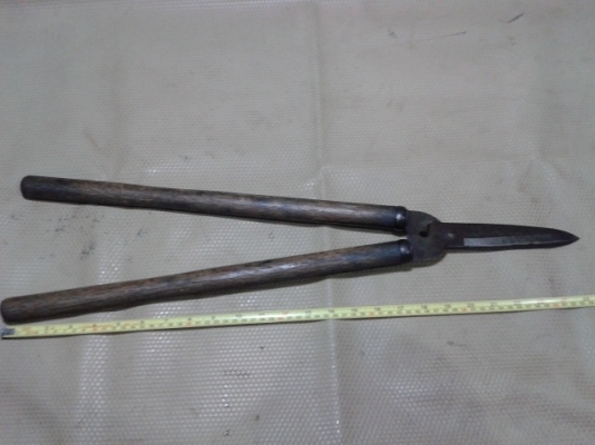 กรรไกรดายหญ้า แต่งพุ่มไม้