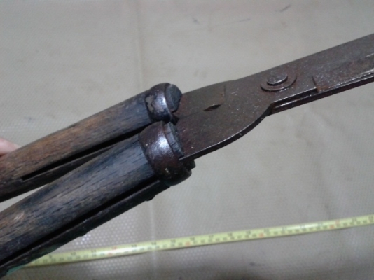 กรรไกรดายหญ้า แต่งพุ่มไม้