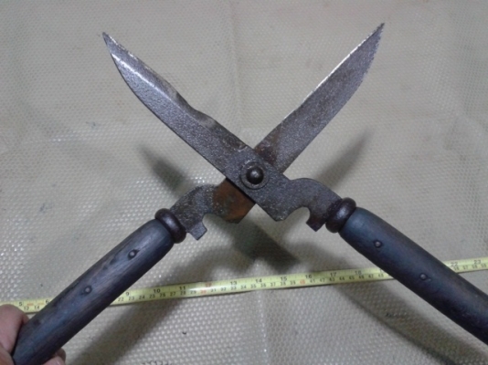 กรรไกรดายหญ้าญี่ปุ่น