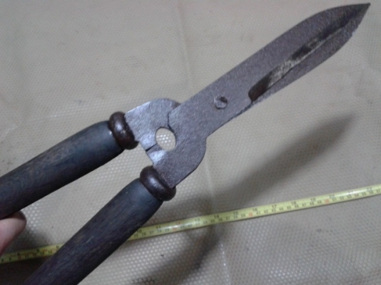 กรรไกรดายหญ้าญี่ปุ่น