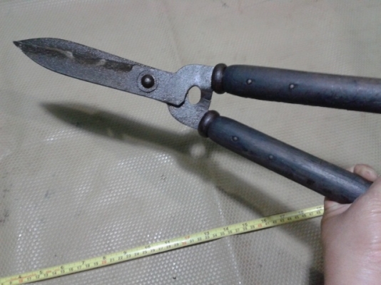 กรรไกรดายหญ้าญี่ปุ่น