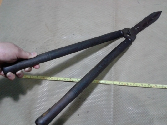 กรรไกรดายหญ้าญี่ปุ่น