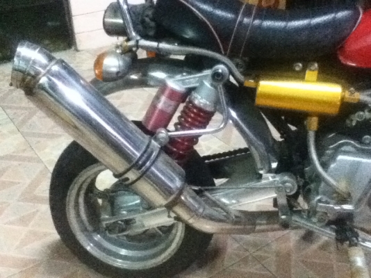 รถฮอลด่ามั้งกี้ 110