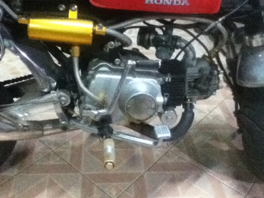 รถฮอลด่ามั้งกี้ 110