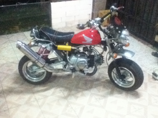 รถฮอลด่ามั้งกี้ 110