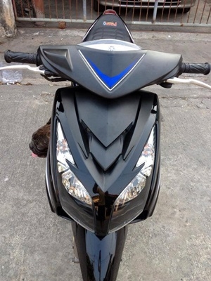 มีโอสองตาแท้