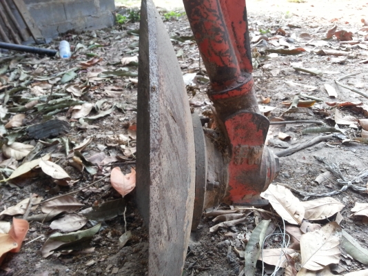 ขายผานยกร่อง ใบ22 นิ้ว