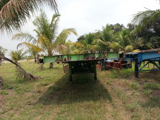 ขายหางลาก