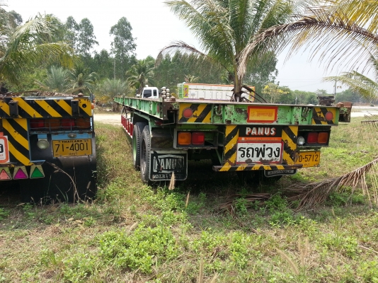 ขายหางลาก