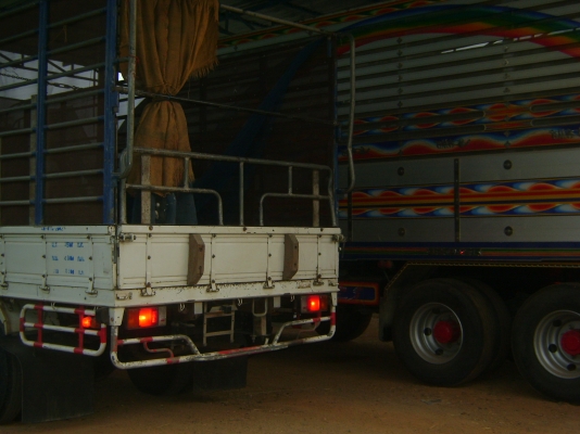 NPR  150 แรง     950,000  บาท