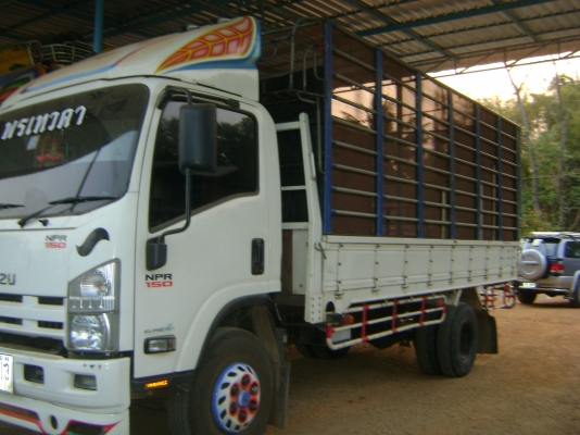 NPR  150 แรง     950,000  บาท