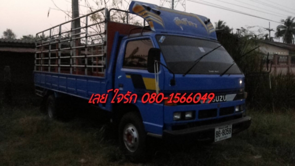 **430,000 บ.ต่อรอง**ขาย6ล้อช่วงยาว ISUZU 115 NPR59P ประกอบ ปี39 เครื่อง 4BD1 115HP แห้งดี แรง ไม่เยิ้ม ช่วงล่าง คานหน้า6น็อต เฟืองท้ายF คัสซีดี ไม่ปะไม่ดาม ไม่บวม กระบะพื้นไม้คอกเหล็ก 5.0ม. สภาพสวย พื้นดี ข้างดีไม่ผุ คอกเหล็กแป็ป แข็งแรง หัวเก๋งสวย ภายในส