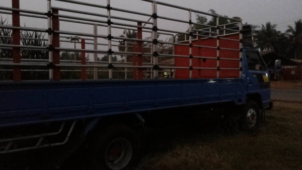 **430,000 บ.ต่อรอง**ขาย6ล้อช่วงยาว ISUZU 115 NPR59P ประกอบ ปี39 เครื่อง 4BD1 115HP แห้งดี แรง ไม่เยิ้ม ช่วงล่าง คานหน้า6น็อต เฟืองท้ายF คัสซีดี ไม่ปะไม่ดาม ไม่บวม กระบะพื้นไม้คอกเหล็ก 5.0ม. สภาพสวย พื้นดี ข้างดีไม่ผุ คอกเหล็กแป็ป แข็งแรง หัวเก๋งสวย ภายในส **430,000 บ.ต่อรอง**ขาย6ล้อช่วงยาว ISUZU 115 NPR59P ประกอบ ปี39 เครื่อง 4BD1 115HP แห้งดี แรง ไม่เยิ้ม ช่วงล่าง คานหน้า6น็อต เฟืองท้ายF คัสซีดี ไม่ปะไม่ดาม ไม่บวม กระบะพื้นไม้คอกเหล็ก 5.0ม. สภาพสวย พื้นดี ข้างดีไม่ผุ คอกเหล็กแป็ป แข็งแรง หัวเก๋งสวย ภายในส