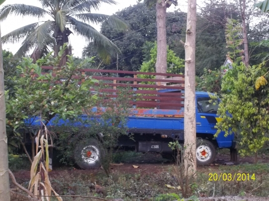 ขาย  6ล้อ อิซูสุ NPRประกอบ หัวเก่งยกได้ 4BBฝาขาว