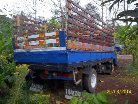 ขาย  6ล้อ อิซูสุ NPRประกอบ หัวเก่งยกได้ 4BBฝาขาว