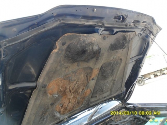 ขายรถกระบะ มิตซูสตราด้า ปี2000 เครื่องเดิม 2.5 เพาเวอร์ ภายในสวยเดิม เบาะหนัง แอร์เย็น ตัวถังเดิม คานหน้าเดิม ฝากระโปรงเดิม คัสซีสวย เครื่องดี รถขับดีครับ ขายถูกครับ ขายรถกระบะ มิตซูสตราด้า ปี2000 เครื่องเดิม 2.5 เพาเวอร์ ภายในสวยเดิม เบาะหนัง แอร์เย็น ตัวถังเดิม คานหน้าเดิม ฝากระโปรงเดิม คัสซีสวย เครื่องดี รถขับดีครับ ขายถูกครับ