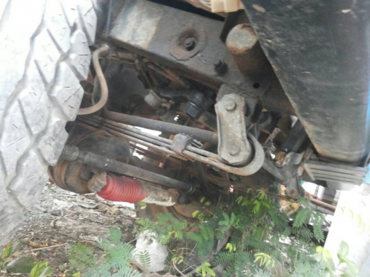 Susukiคาริเบียน