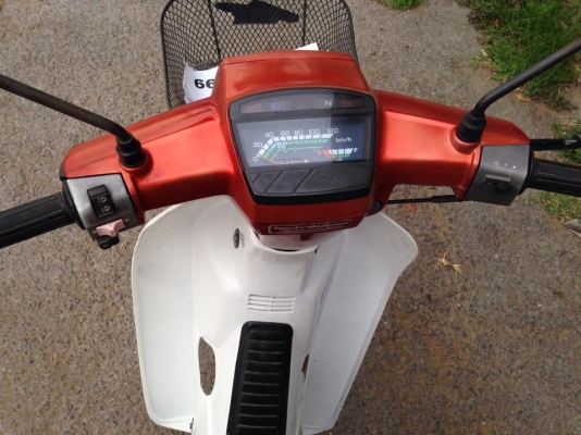 ดรีมตูดเป็ด