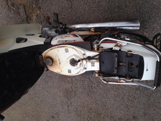 ดรีมสีขาว ดรีมสีขาว