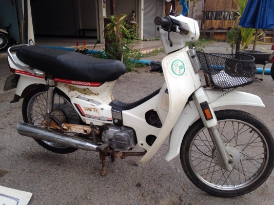 ดรีมสีขาว ดรีมสีขาว