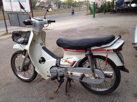 ดรีมสีขาว