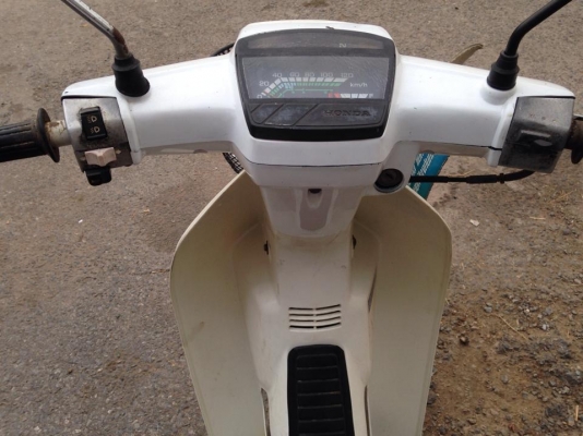 ดรีมสีขาว ดรีมสีขาว