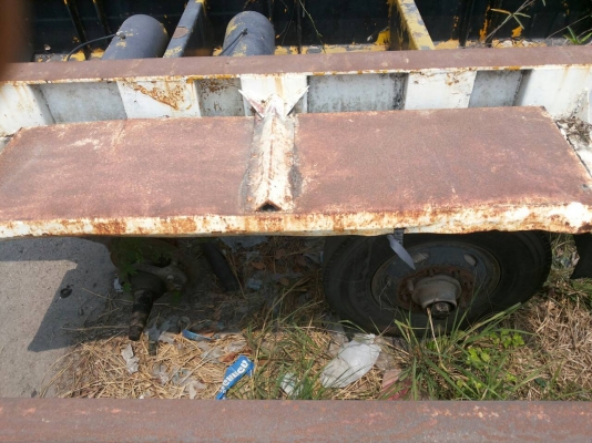 ขายหางก้างปลามีทั้งหมด14หางไม่มีเล่มทะเบียน ขายหางก้างปลามีทั้งหมด14หางไม่มีเล่มทะเบียน