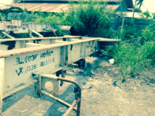 ขายหางก้างปลามีทั้งหมด14หางไม่มีเล่มทะเบียน