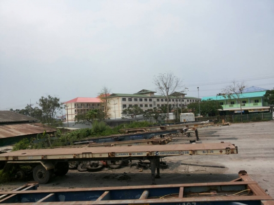 ขายหางก้างปลามีทั้งหมด14หางไม่มีเล่มทะเบียน ขายหางก้างปลามีทั้งหมด14หางไม่มีเล่มทะเบียน