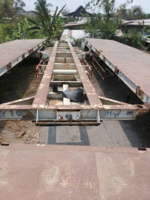 ขายหางก้างปลามีทั้งหมด14หางไม่มีเล่มทะเบียน ขายหางก้างปลามีทั้งหมด14หางไม่มีเล่มทะเบียน