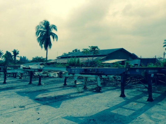 ขายหางก้างปลามีทั้งหมด14หางไม่มีเล่มทะเบียน ขายหางก้างปลามีทั้งหมด14หางไม่มีเล่มทะเบียน