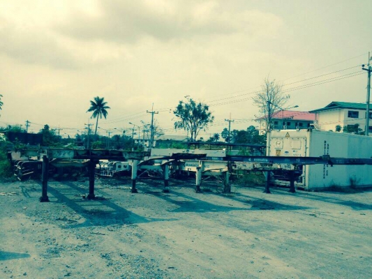 ขายหางก้างปลามีทั้งหมด14หางไม่มีเล่มทะเบียน ขายหางก้างปลามีทั้งหมด14หางไม่มีเล่มทะเบียน