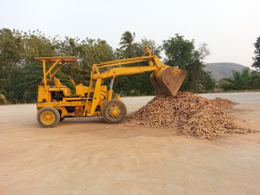 ขายเจ้าโคมัทสุน้อย