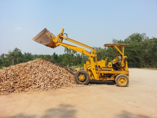 ขายเจ้าโคมัทสุน้อย