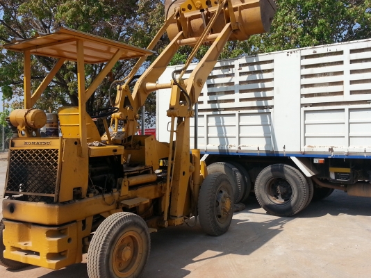 ขายเจ้าโคมัทสุน้อย