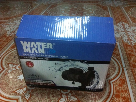 ปั้มน้ำwater man CPM130 ของใหม่ ยกกล่อง ถูกสุดๆ ปั้มน้ำwater man CPM130 ของใหม่ ยกกล่อง ถูกสุดๆ
