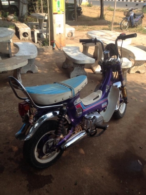 ขาย ชาลี เทพๆครับ ของแต่งมีเยอะ ราคาไม่แพง ขาย ชาลี เทพๆครับ ของแต่งมีเยอะ ราคาไม่แพง